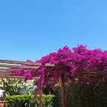 Apartment Cala Azzurra *
