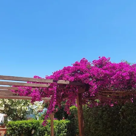 Apartment Cala Azzurra *