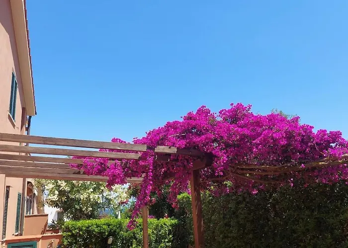 Apartment Cala Azzurra *